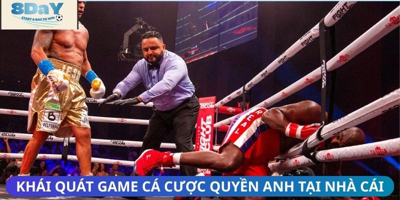 Khái quát game cá cược quyền anh tại nhà cái