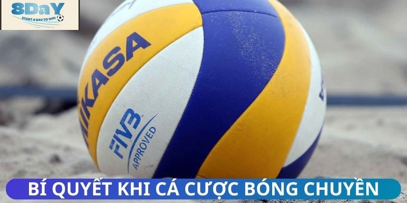 Các chiến thuật chinh phục cá cược bóng chuyền