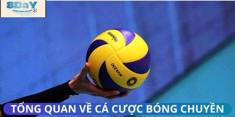 Khái quát về hình thức dự đoán bóng chuyền