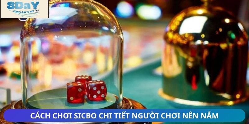 Cách chơi Sicbo chi tiết người chơi nên nắm trước khi trải nghiệm