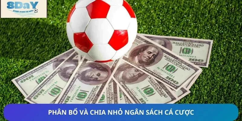 Phân bổ và đặt cược hợp lý khi bắt kèo Ma Cao
