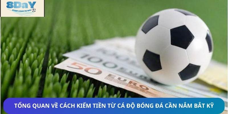 Tổng quan về cách kiếm tiền từ cá độ bóng đá cần nắm bắt kỹ